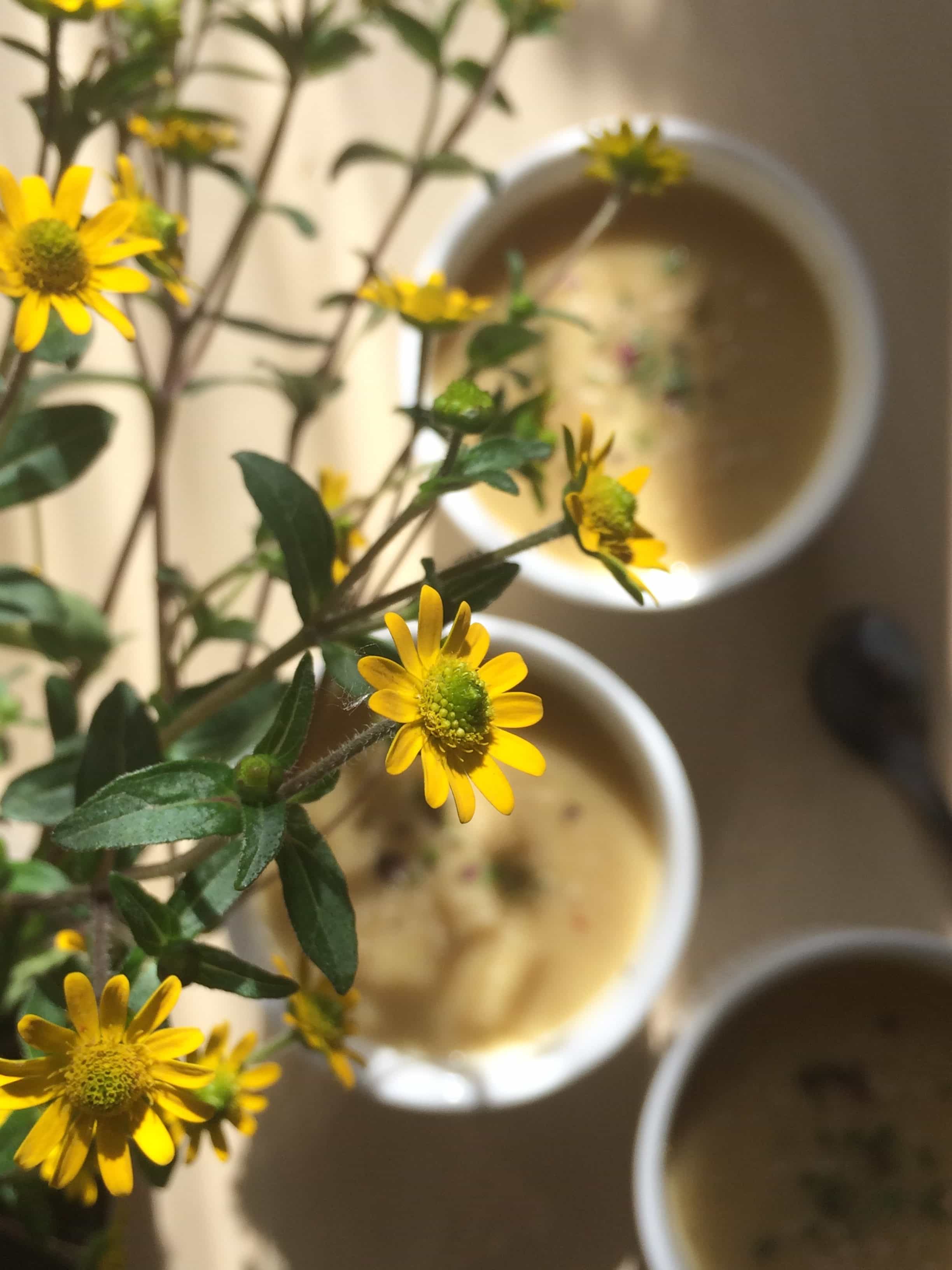 Zupa z ciecierzycy | Chickpeas creamy soup
